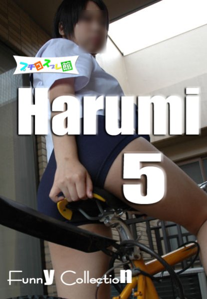 画像1: オリジナル画像集　HARUMI 5（再販） (1)